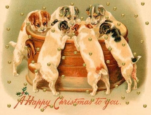 Karnet mini brokat z kopertą Święta Pieski