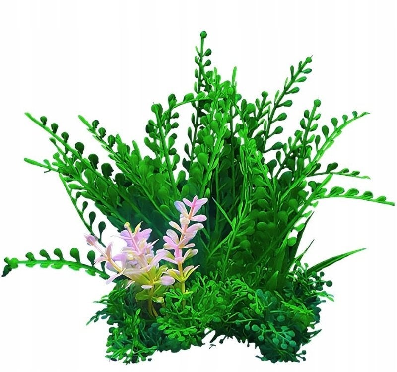 Terra Natura Aqua Natura roślina zielona z dodatkiem zółtego plastikowa 12 cm