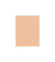 MAC Studio Fix Powder Plus Foundation W 15g C3.5