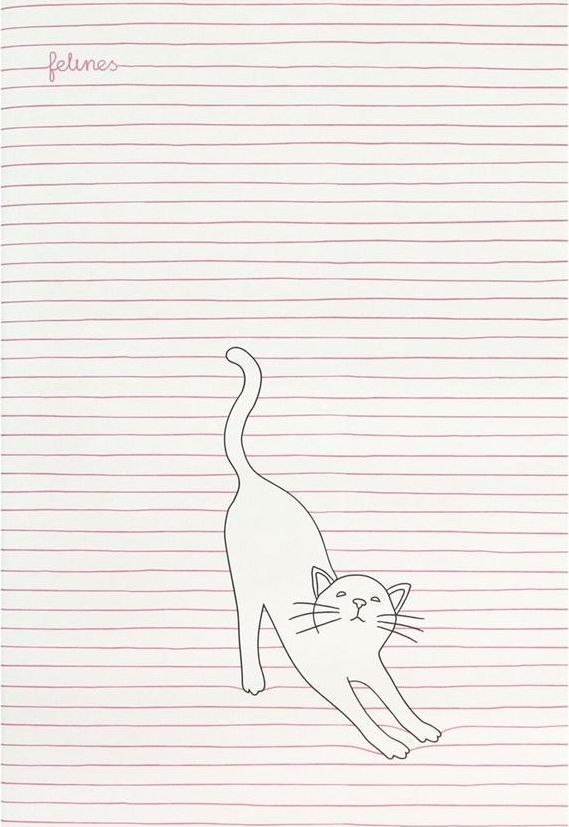 Santoro Średni Zeszyt