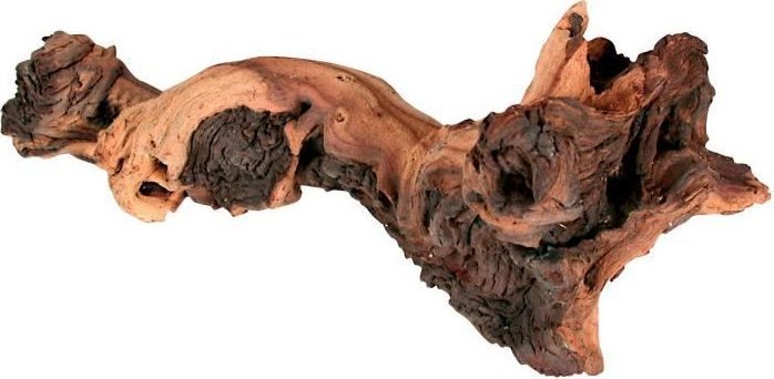 Zolux ZOLUX Naturalna dekoracja korzen maupani L - Do akwarium