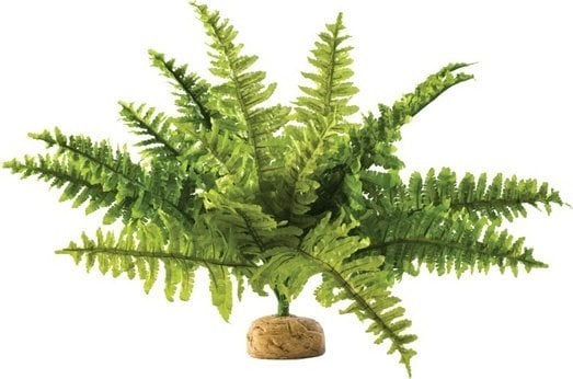Exo Terra Roślina sztuczna – Paproć Boston Fern, M