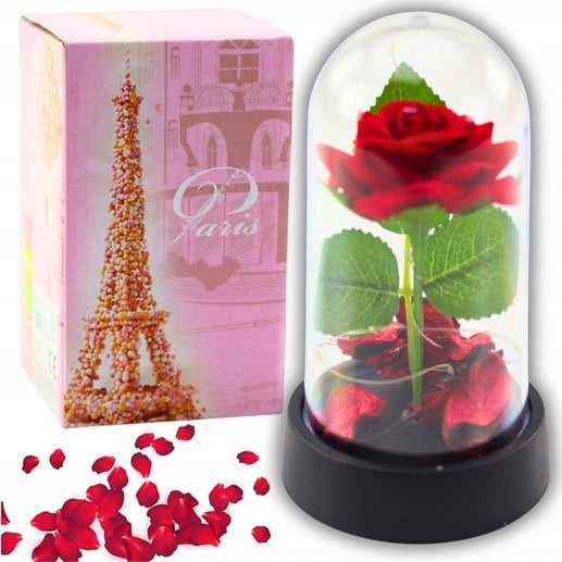 Wieczna Róża w Kopule z Oświetleniem LED Czerwona z Płatkami Róż 14x8cm