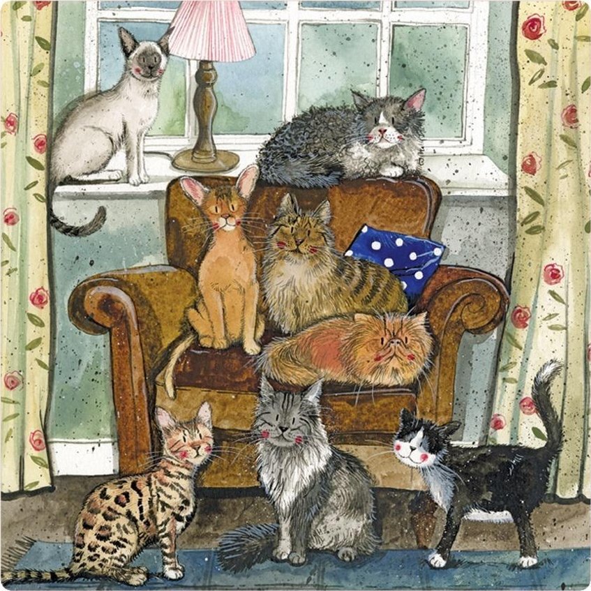 Magnes FM213 Dom pełen kotów