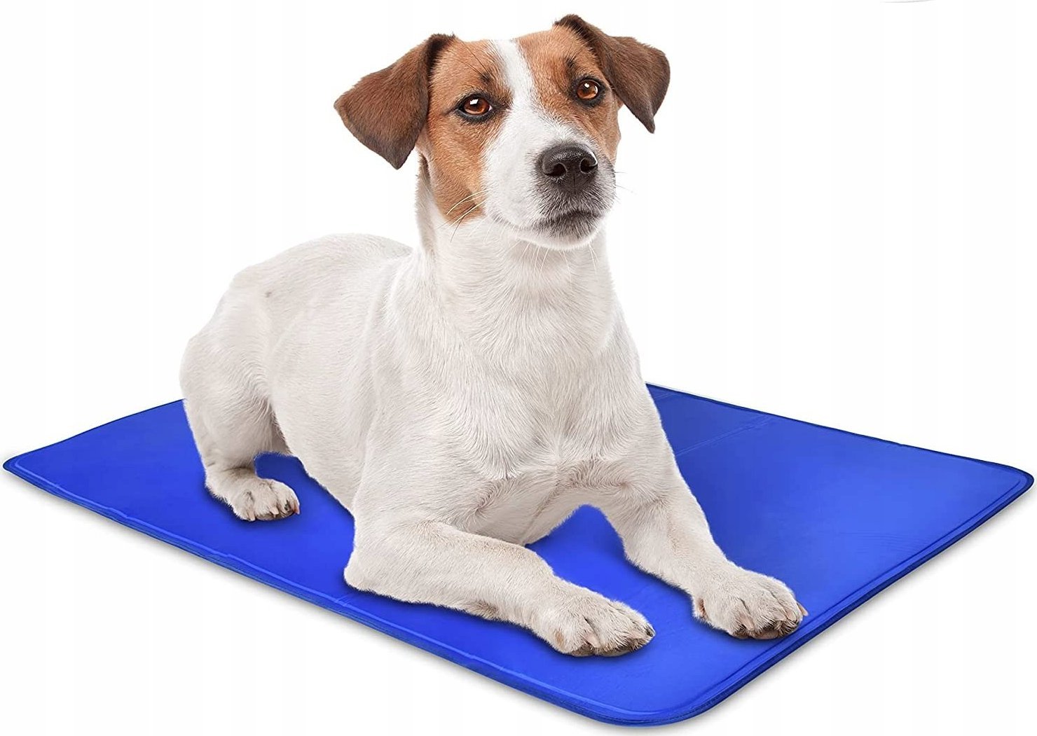 Korbi MATA CHŁODZĄCA DLA PSA KOTA LEGOWISKO 50x40cm