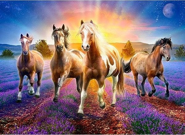 Norimpex Mozaika diamentowa 5D - Konie 40x30cm