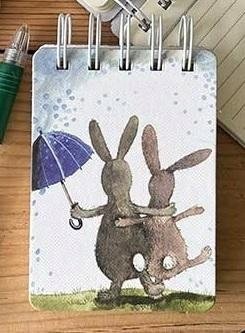 Teka Kołonotes A7 SSN47 Króliki w deszczu