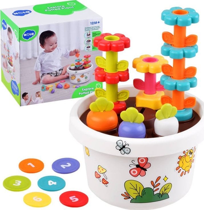 Jokomisiada Hola Zestaw z doniczką 12m+ sorter piramida ZA4294