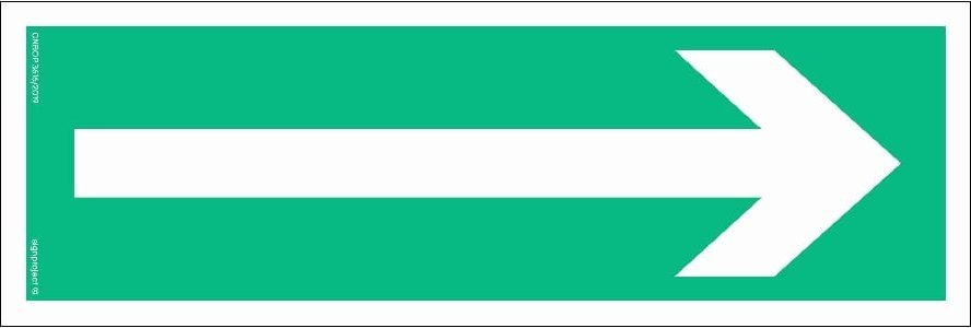 Mój dom Kierunek Drogi Ewakuacyjnej 300X100 Ts Płyta Td Foto Święcąca W Ciemości Libres Polska Sp Sgp-Aa008_300X100_Ts 5903816004864