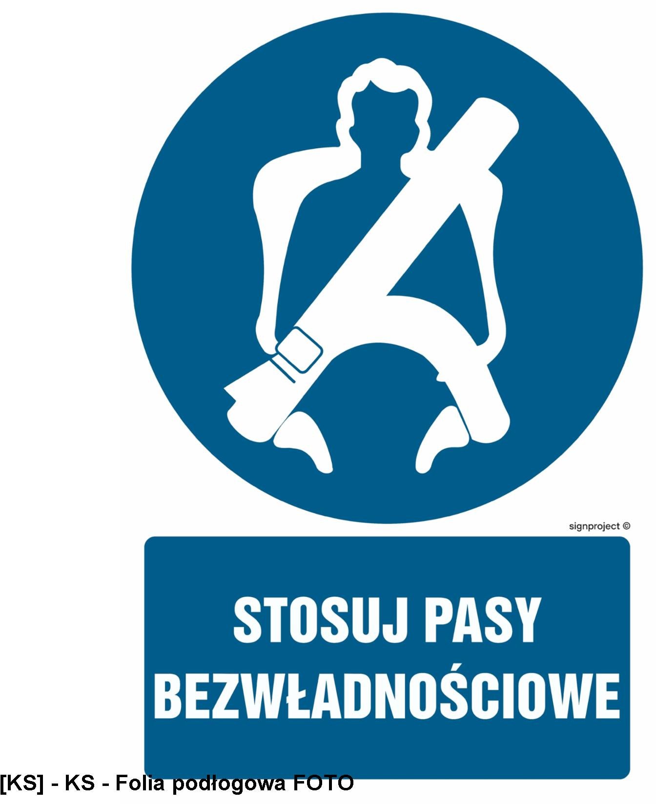 GL024 - Stosuj pasy bezwładnościowe 250x375