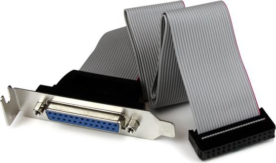 StarTech DB-25 - IDC-26, 0.4m, Szary (PLATE25F16LP)