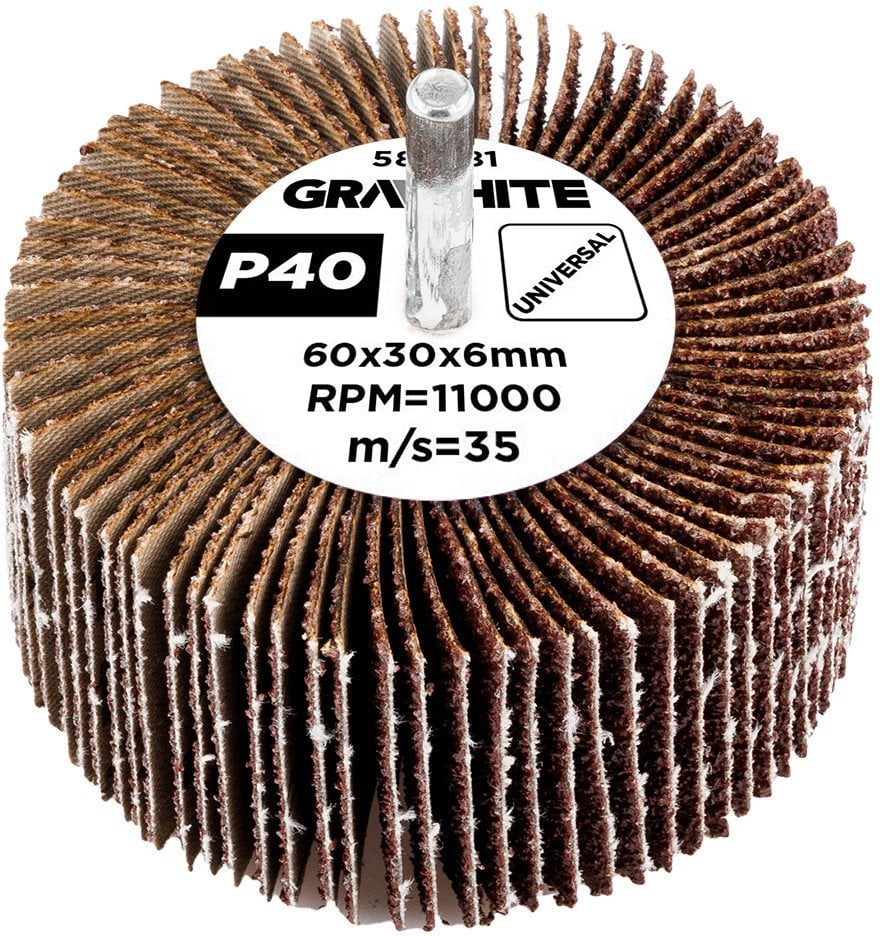 Ściernica listkowa trzpieniowa 60 x 30 x 6 mm, P40