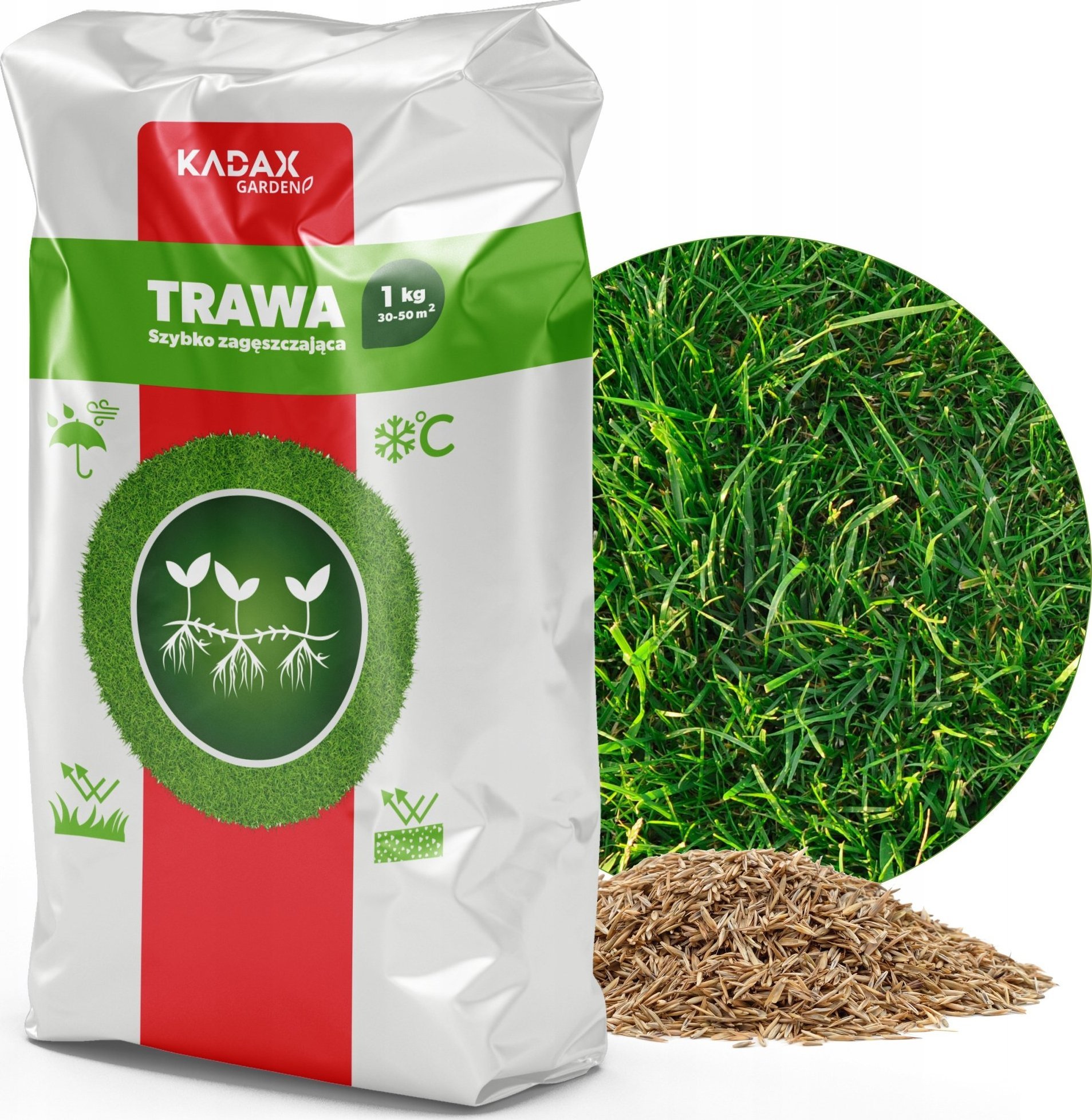 Kadax Trawa Uniwersalna Szybko Zagęszczająca 1kg 40m2