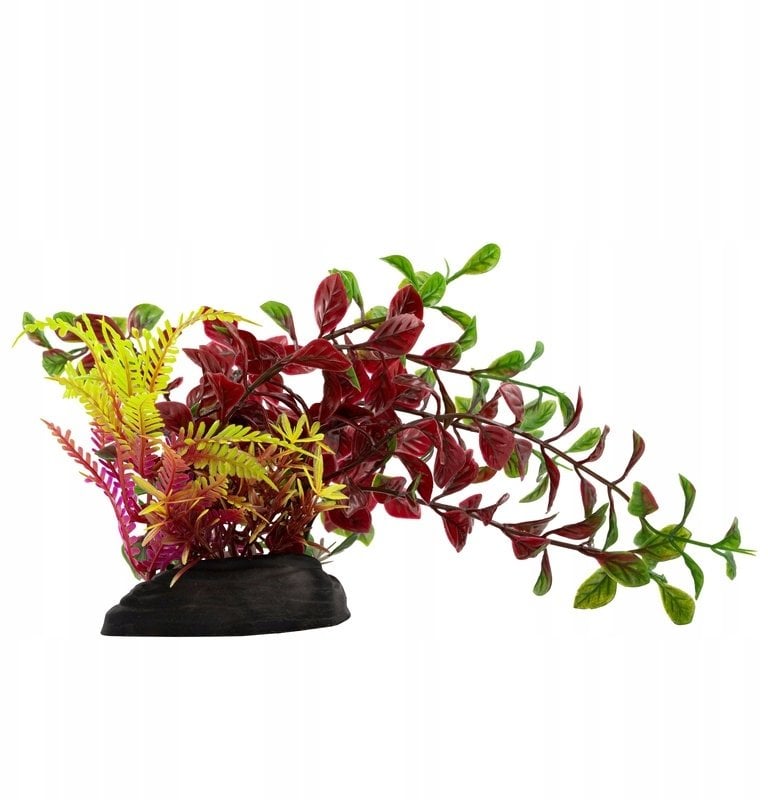 Terra Natura Aqua Natura, roślina, do dekoracji akwarium, bordowa, plastikowa, 20 cm, paprotka i młode pędy