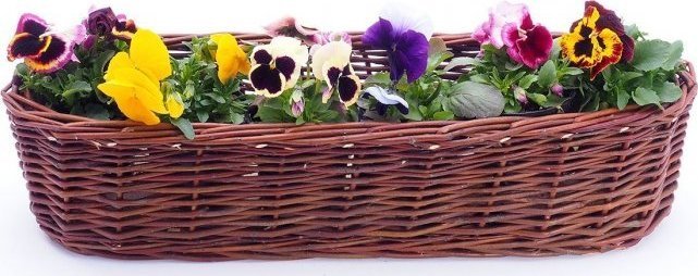 Wnuk Osłona na donicę (Owalna/60cm)