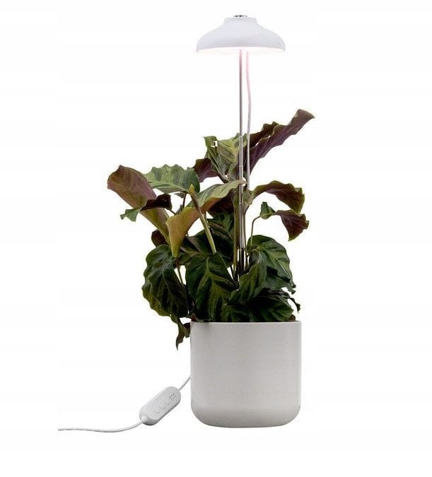 Airam Iris plant light, IP20, 5W, 240 lm, white