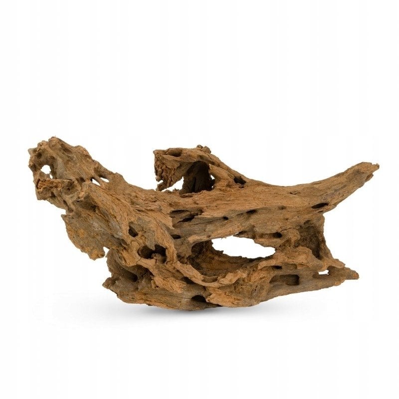 Korzeń Cięty SHRIM do akwarium / terrarium 20-60 cm