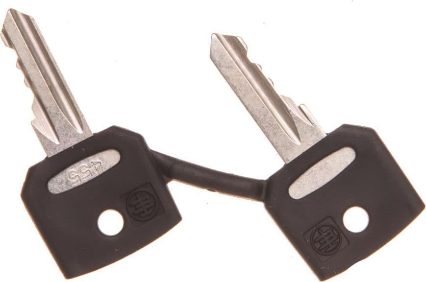 Schneider Electric Klucz zapasowy 2szt. NR455 ZBG455