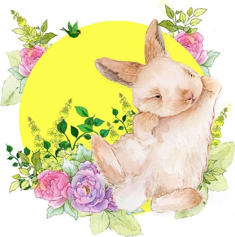 Clear Creation Karnet Swarovski kwadrat CL2009 Królik