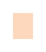 MAC Studio Fix Powder Plus Foundation W 15g C3