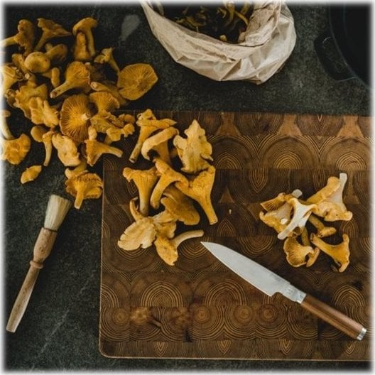 Fiskars Norden small chef's knife