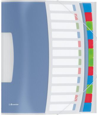 Esselte Teczka segregująca VIIVDA 6 Przekładek (624029)