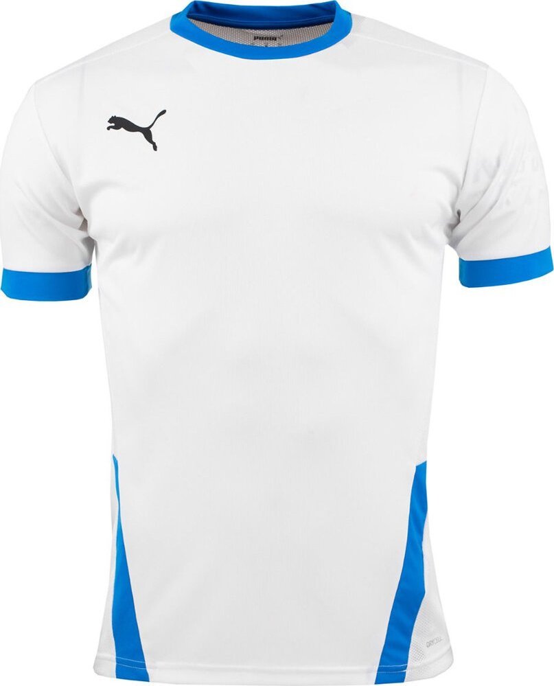 Puma Koszulka dla dzieci Puma teamGOAL 23 Jersey biało-niebieska 704160 12 152cm