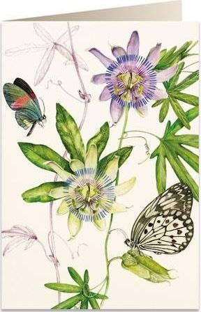 Tassotti Karnet B6 + koperta 6089 Passiflora