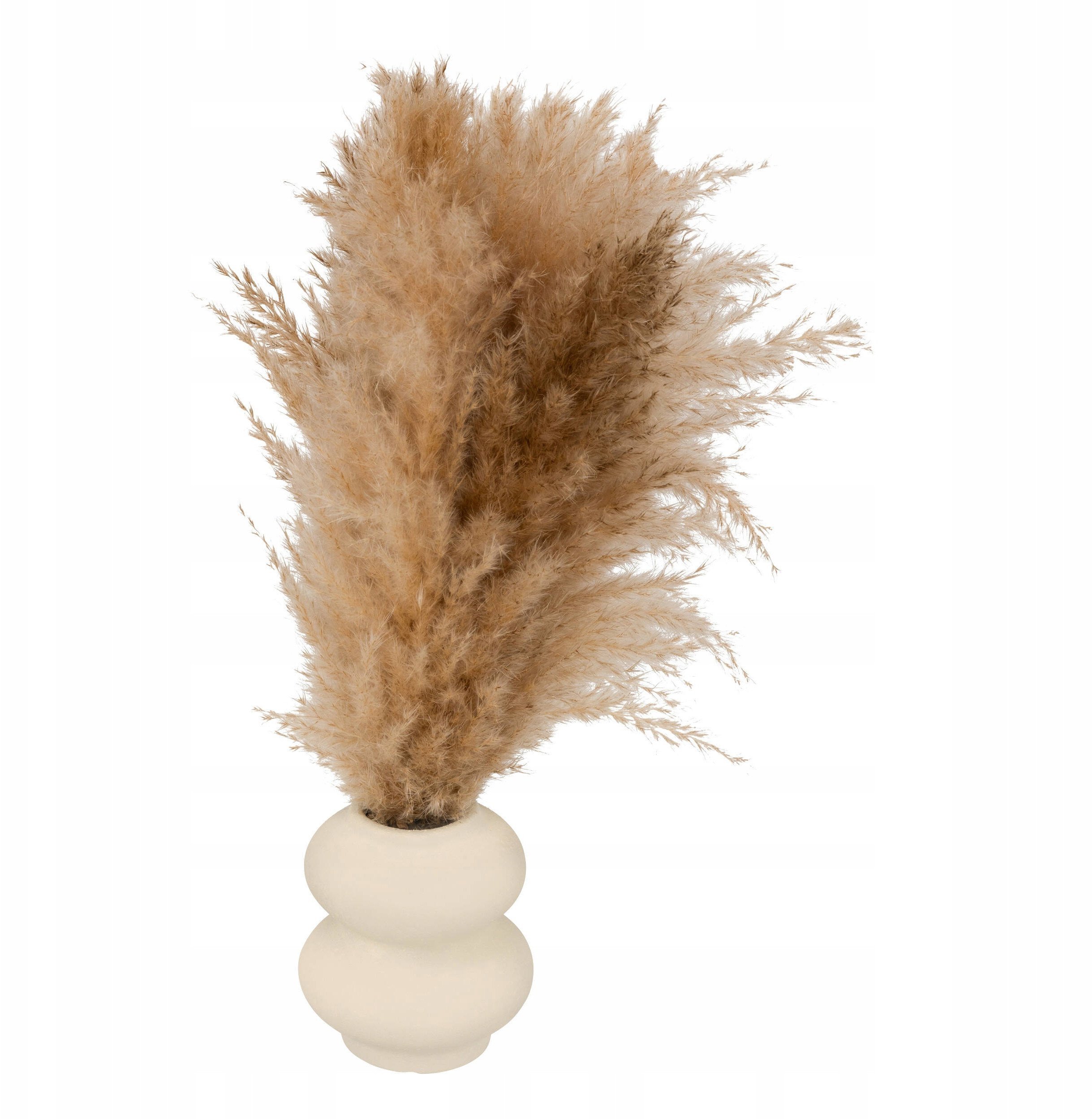 Kompozycja trawa pampasowa GLEN w ceramicznym wazonie, wys. 42 cm