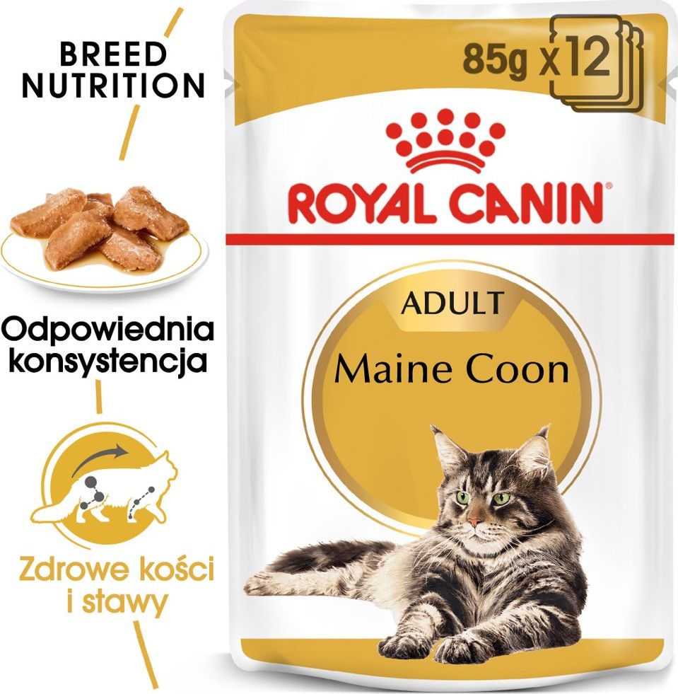 Royal Canin ROYAL CANIN Maine Coon Adult saszetka 24x85g (Sos)