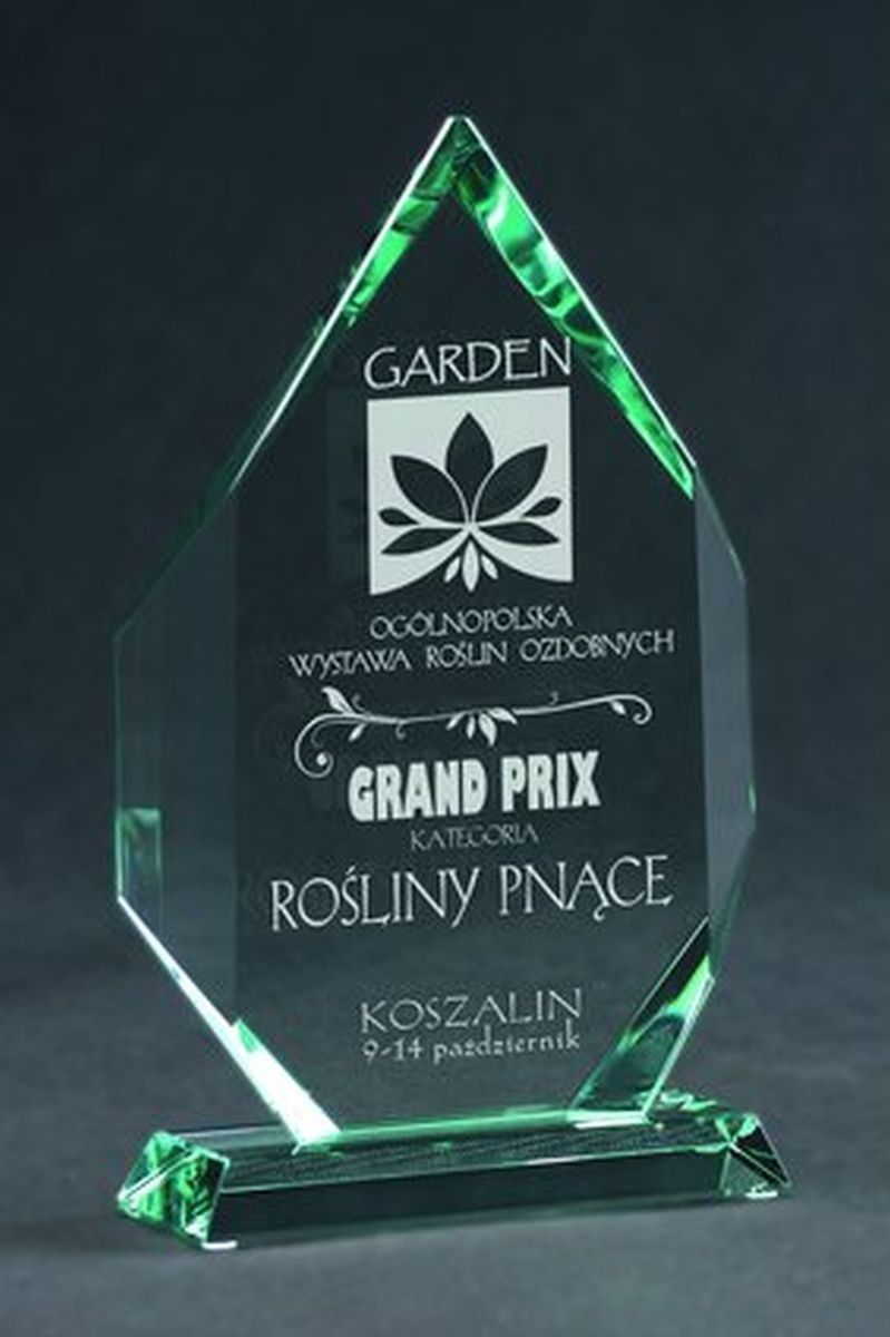 Victoria Sport Trofeum szklane grawerowane z etui