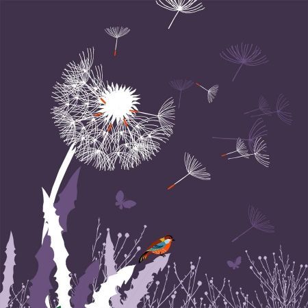 Clear Creation Karnet Swarovski kwadrat CL3404 Dmuchawiec