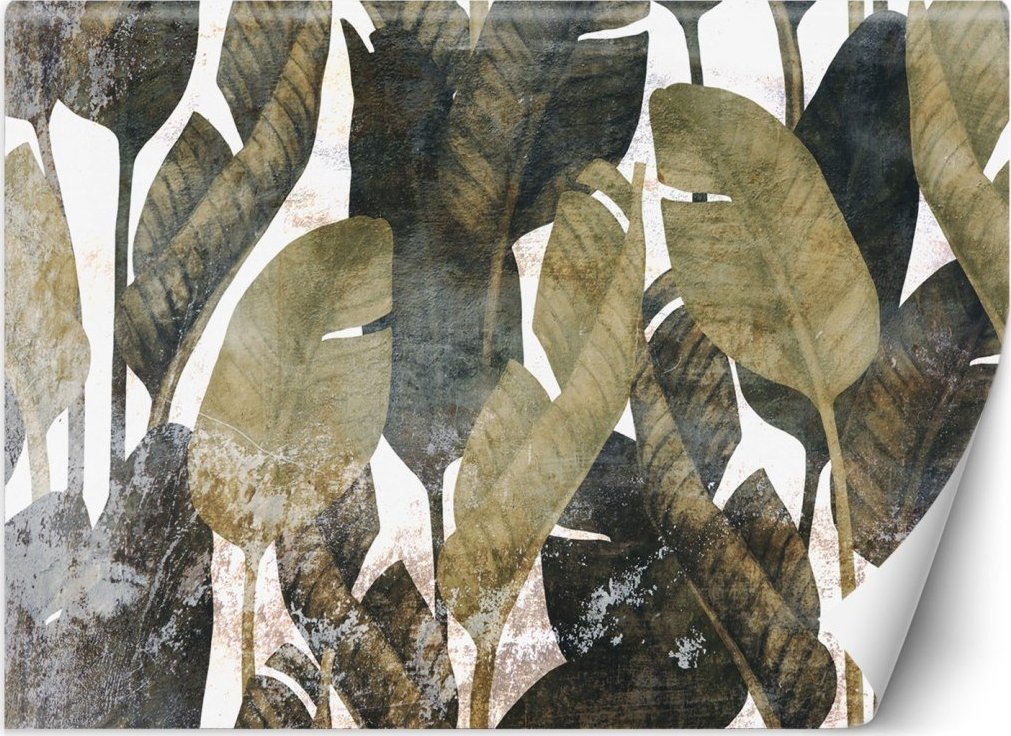 Feeby Fototapeta, Liście bananowca - 350x245