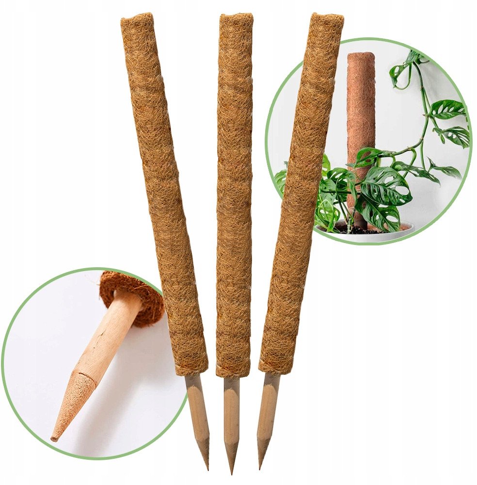Palik kokosowy 45 cm podpora do roślin tyczka 3 szt ZESTAW