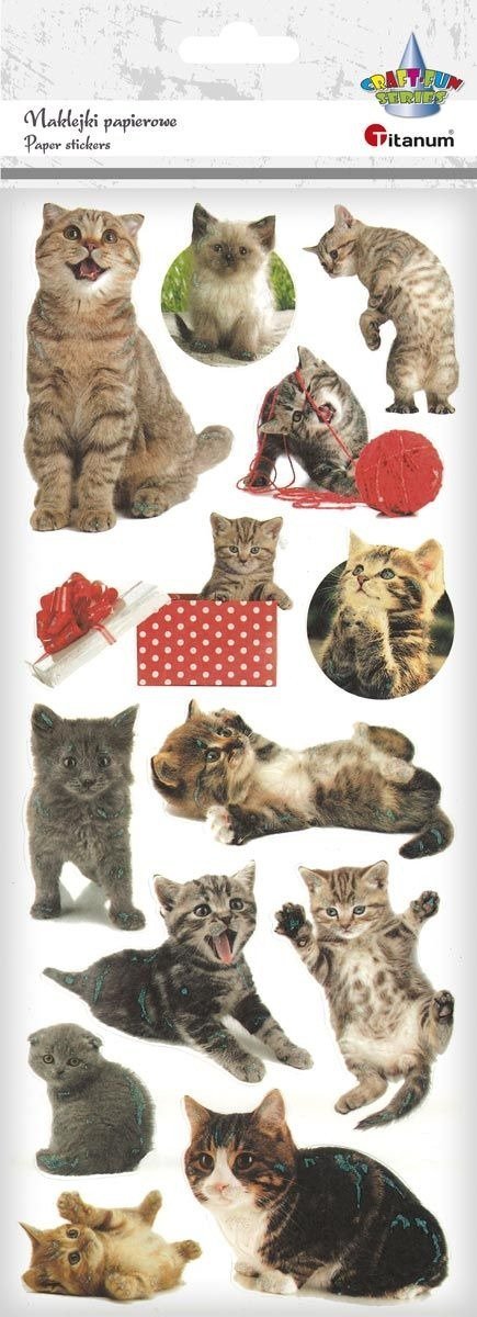 Titanum Naklejki papierowe koty