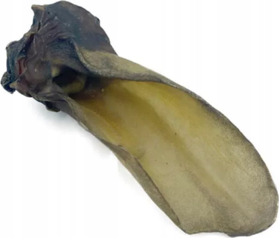 UNISZKI Ucho wołowe średnie 1szt