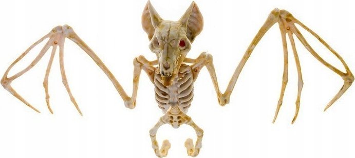 Korbi SZKIELET NIETOPERZA NIETOPERZ KOŚCI DEKORACJA WISZĄCA OZDOBA HALLOWEEN