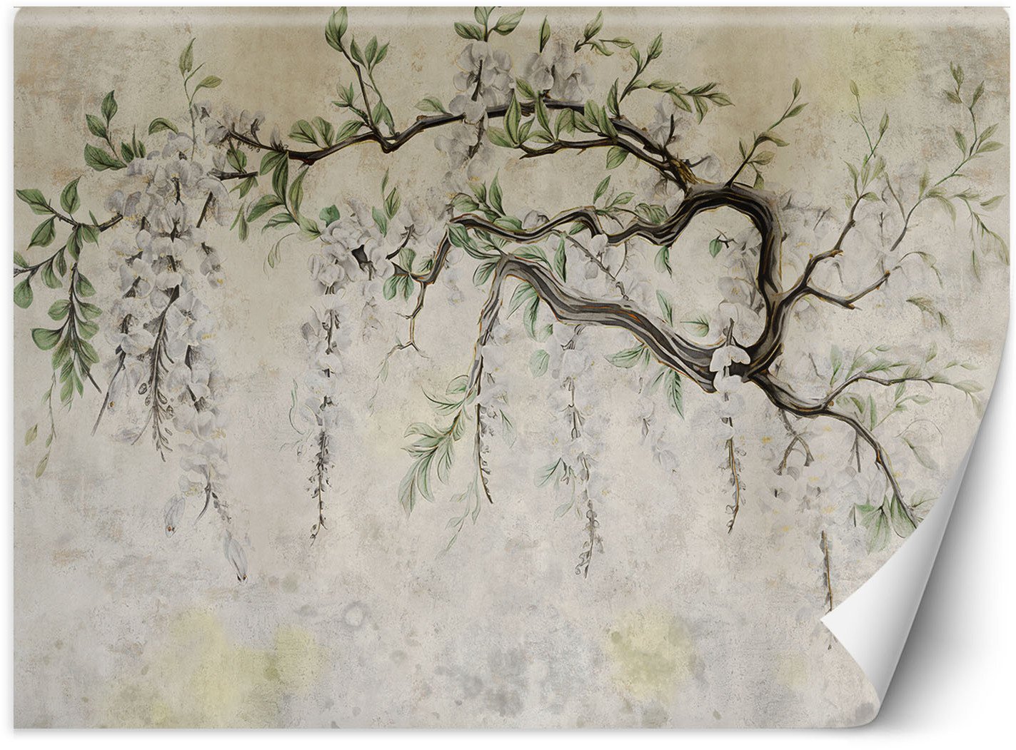 Feeby Fototapeta Zwisające kwiaty minimalizm 350x245 large