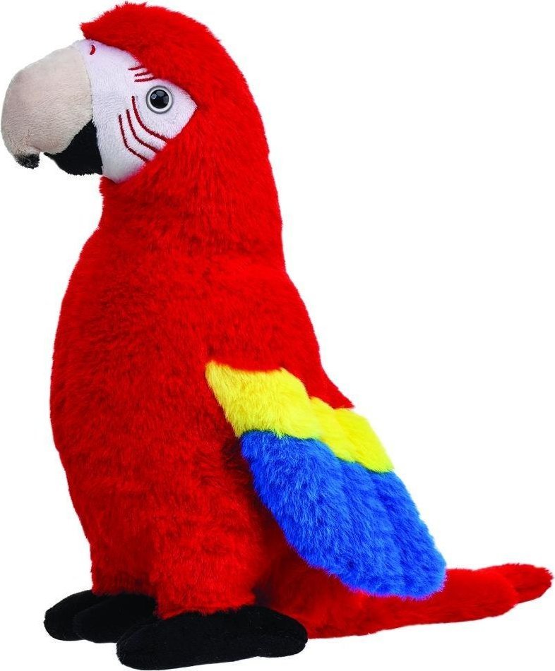 Papuga Ara czerwona 40cm