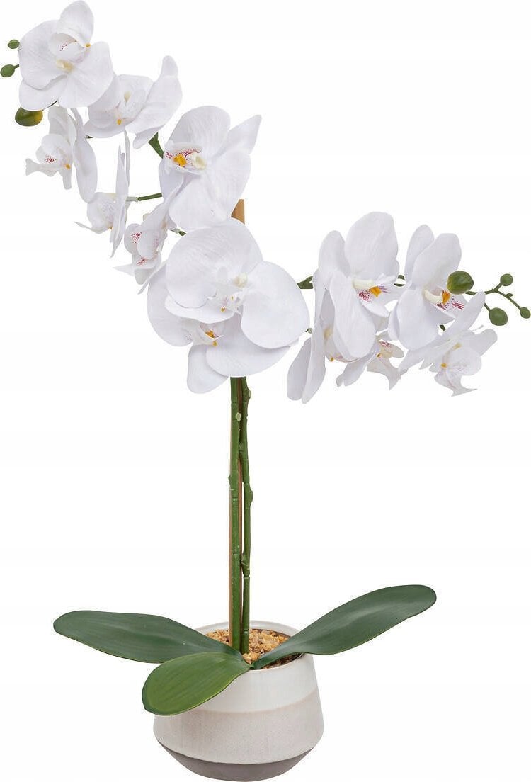 Atmosphera Biały sztuczny storczyk w doniczce CLERA, 52 cm