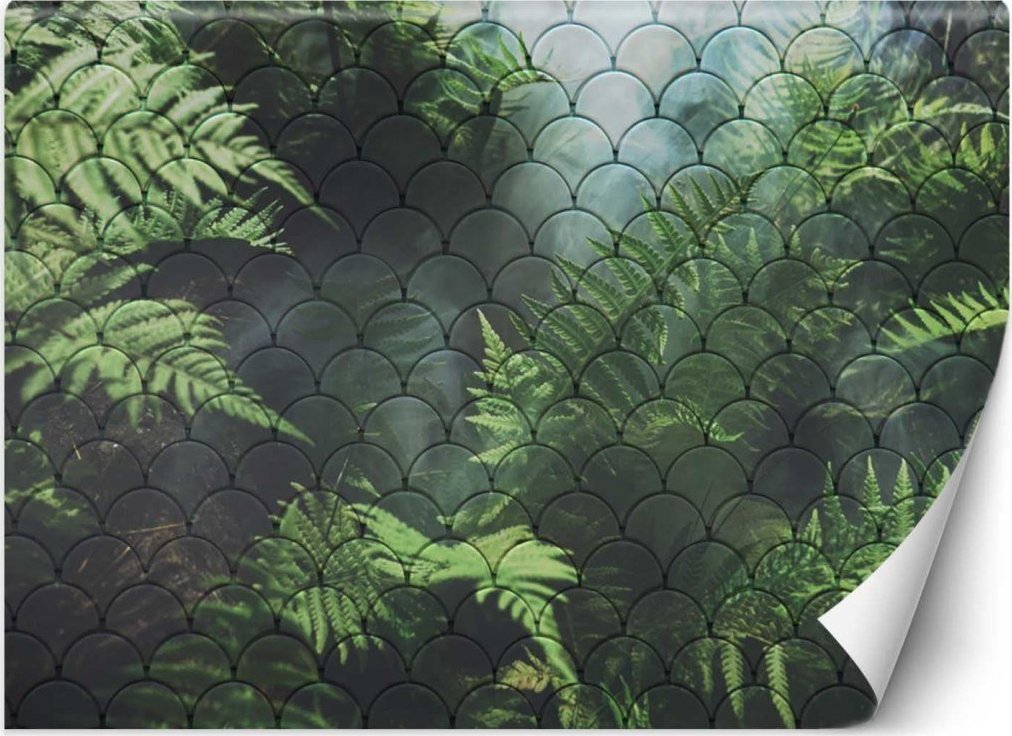 Feeby Fototapeta, Liście paproci we mgle - 150x105