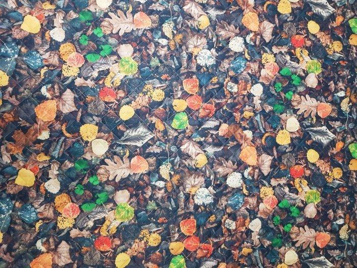 AUUU Mata dla Psa - LIŚCIASTA - Narzuta ochronna