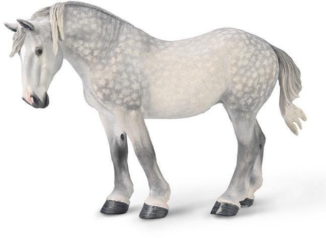 Klacz percheron siwa jabłkowita EDUKAMP