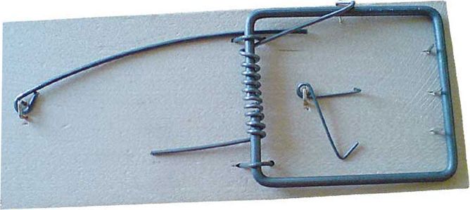 libres Szczurołapka - Zakliczyn - Drewniana