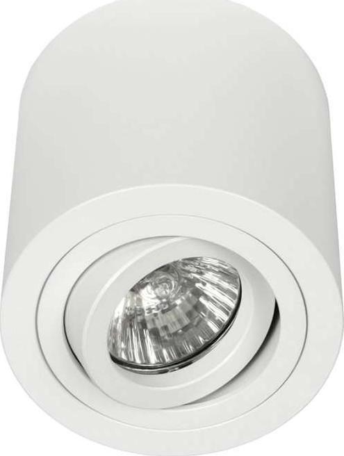 Lampa sufitowa Orlicki Design Spot LAMPA sufitowa Rullo Bianco Orlicki Design regulowana OPRAWA metalowa downlight tuba biała