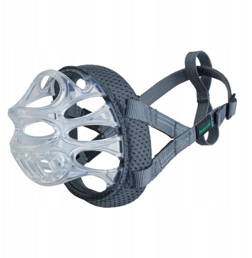 BASKERVILLE KAGANIEC INVISA 4