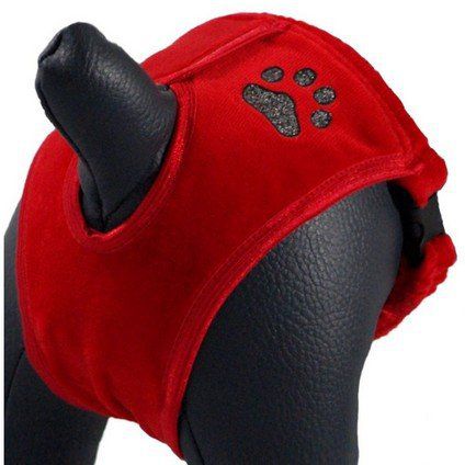 Grande Finale Majtki na cieczkę czerwone Paw rozmiar 0