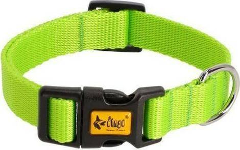 Dingo Dingo Obroża Energy 2,5/55cm Zielona