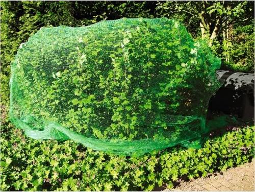 Biogród Siatka przeciw ptakom 4x5m (8988752)