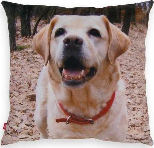 AUUU Poduszka Z WŁASNĄ GRAFIKĄ